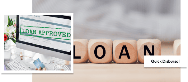 20000 loan instant